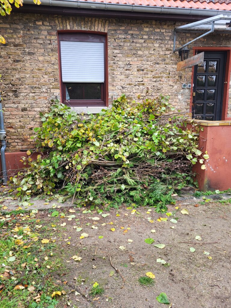 Große Gartenaktion am Vereinsheim 1 20251101 123824